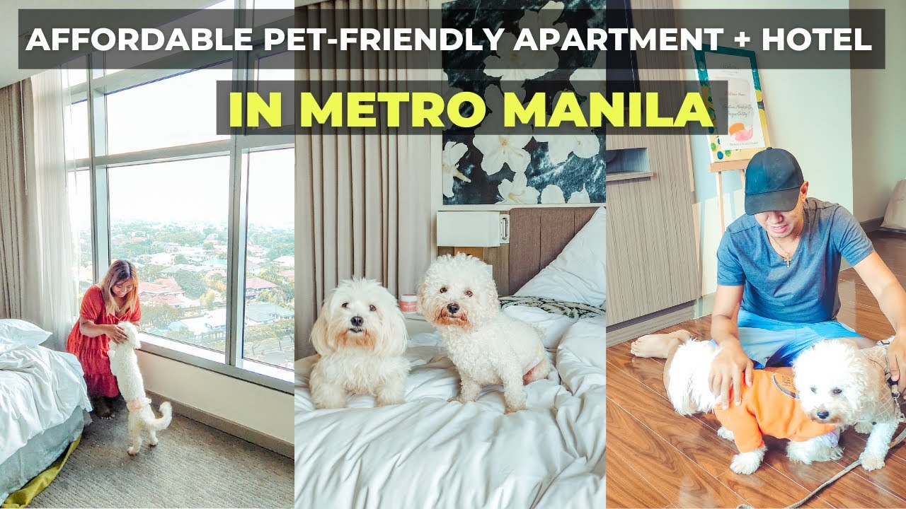 CITADINES MILLENNIUM ORTIGAS: Affordable Pet-Friendly Apartment Hotel In Metro Manila