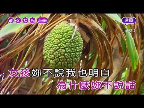 女孩女孩~陽帆~女Fm調~伴奏~導唱丙