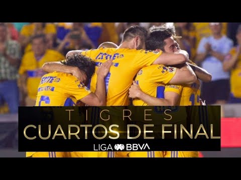 TIGRES AVANZA A 4TOS DE FINAL/ TIGRES 1 - 0 PUEBLA/ LIGA MX/ CLAUSURA ...