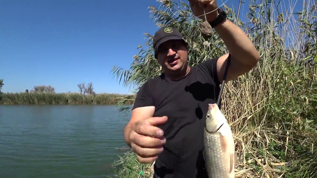 Рыбалка в волгодонске. Рыбалка на волгодонском канале. Рыбалка на каналах в ростовской обл. Волгодонская рыба. Рыбалка в волгодонске.