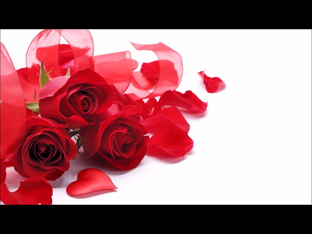 じゃあねDream Ami