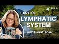 Water as the lymphatic system of Earth