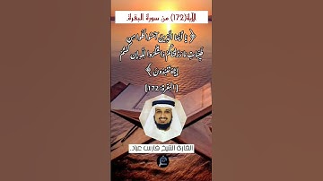 الآية (172)من سورة البقرة//القارئ الشيخ فارس عباد.