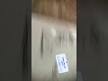 123 atau 4