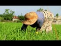 کلیپ زیبای گیلان جان از مصطفی پسندیده کلیپ زیبای گیلان جان از مصطفی پسندیده