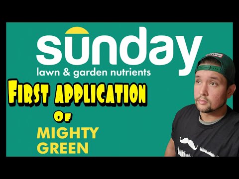 Sunday Lawn Fertilizer First Application | Mighty Green Pouch