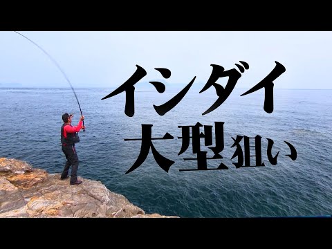 Aiming for rockfish with ultra-long-distance fishing in the