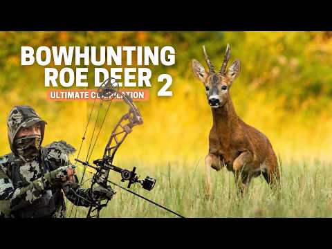 Bow Hunting Compilation Roe Deer Part 2 Hunting Bucks During The Rut 10 Shots