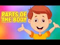 Parts of the Body for Kids