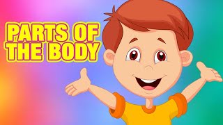 Parts of the Body for Kids