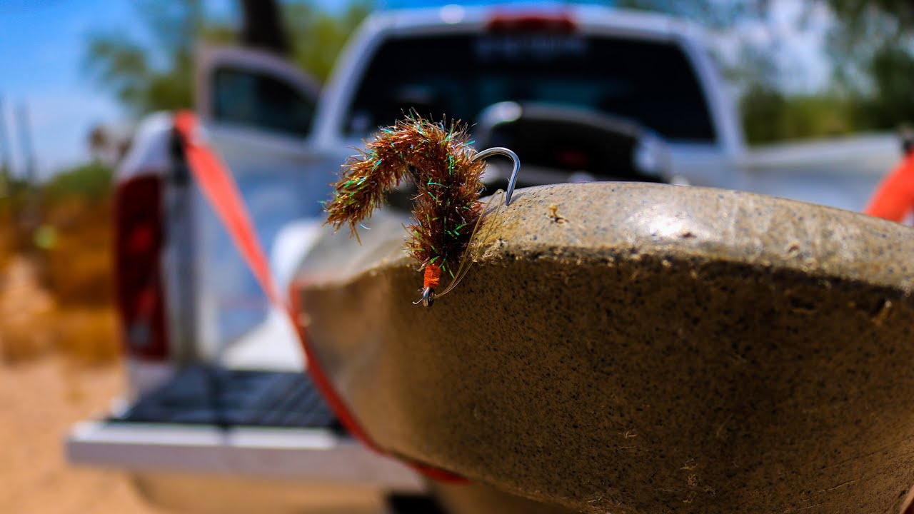 Chasing BASS with a FLY ROD! (Bass Still on BEDS in JULY?) YouTube