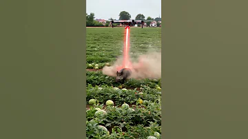 Drone To Kill Harmful Pigs Villagelife Smartfarming Rurallife Farmingtraditions Farming101 
