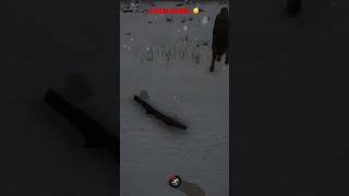 Erzurum Bitmeyen Yol Şfet Şfetbeniöneçıkar