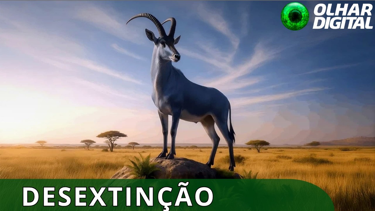 Scientists Aim to Resurrect Extinct Blue Antelope Using De-Extinction Tech