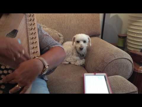 Down in the Valley played on Autoharp