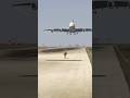 A380 Pilot Faces Unexpected Deer on Runway During Landing