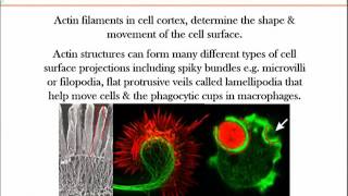 BIO734_Topic179