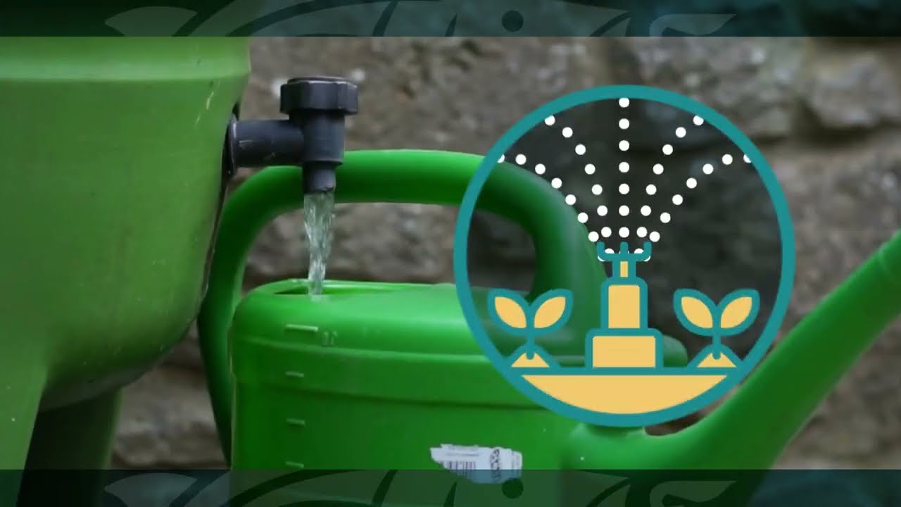 Rain Barrels to Reduce Stormwater Runoff | One Lagoon