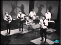 The kingsmen  louie louie shindig 1965