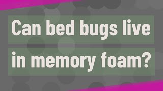 Can bed bugs live in memory foam?