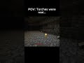 POV: Torches were real…