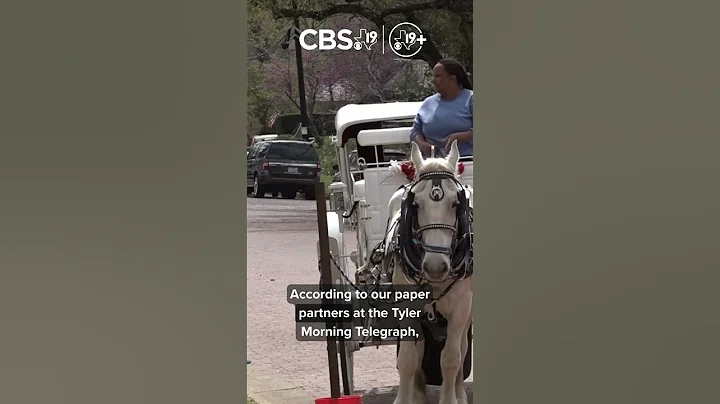 Tyler among list of nearly 1,000 cities in Texas AG Paxton’s financial review