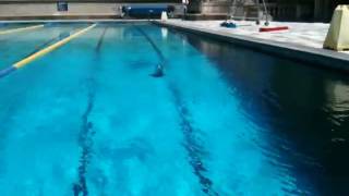 IMG_0710.MOV