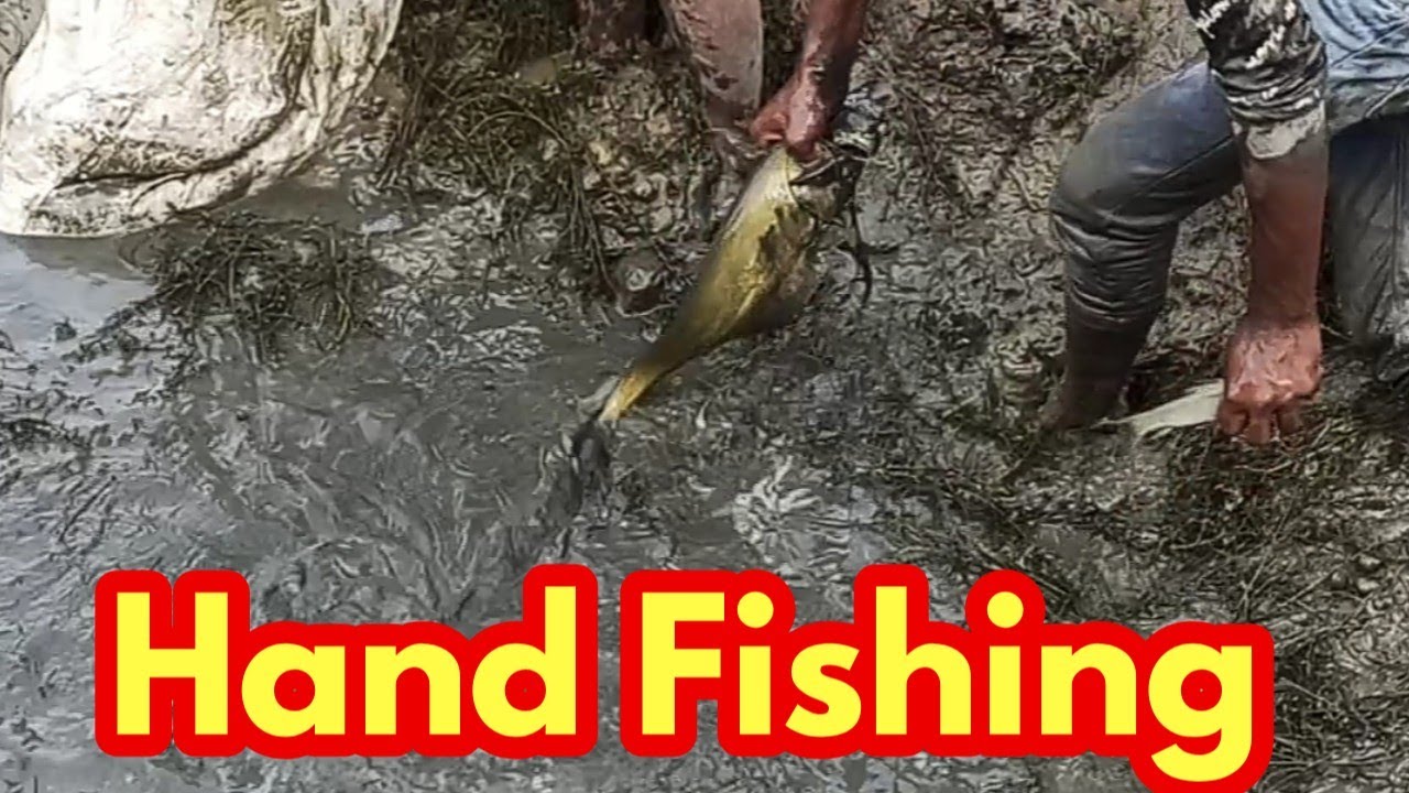 Hand Fishing Catch A Lot Of Fish By Professional Fish Hunter