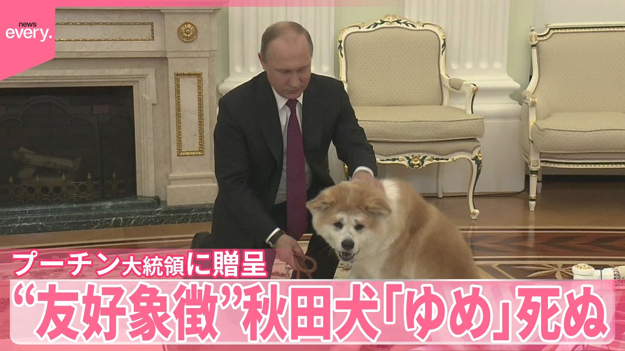 プーチン様 秋田犬】プーチン氏に贈呈の「ゆめ」死ぬ 去年高齢のため - YouTube