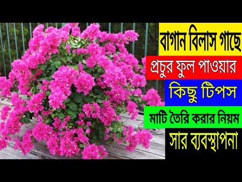 ভিডিও: বাগান ভবনের বৈচিত্র্য দিতে হবে