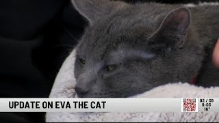 21-Year-Old Charged with Animal Cruelty in Oneida County Court