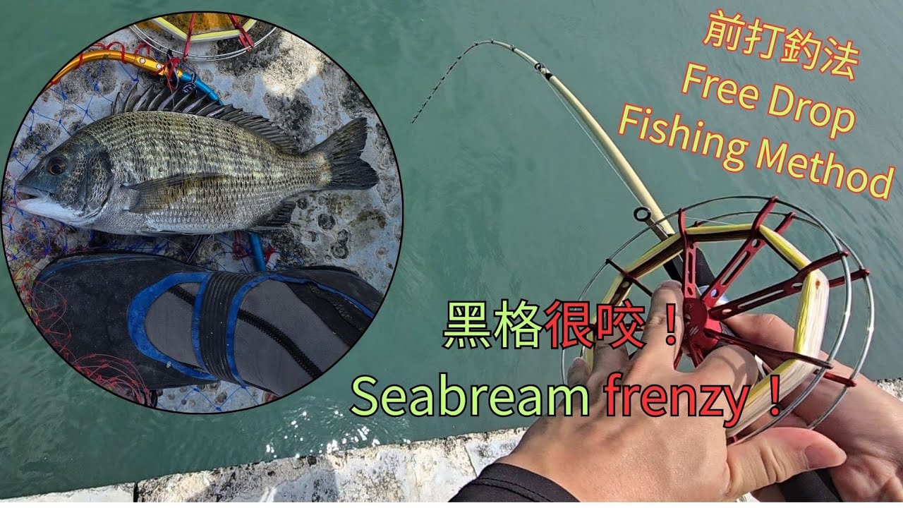 巧遇黑格大咬!#前打  #台中港北堤