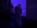 Mario and Peach at the car wash