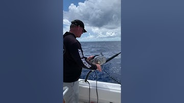 How to use a swordfish Buoy rod part 2