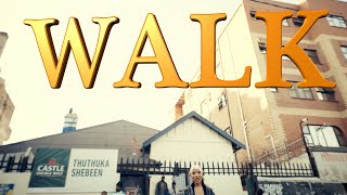 Priddy Prince Ft Kay Medusa - Walk 