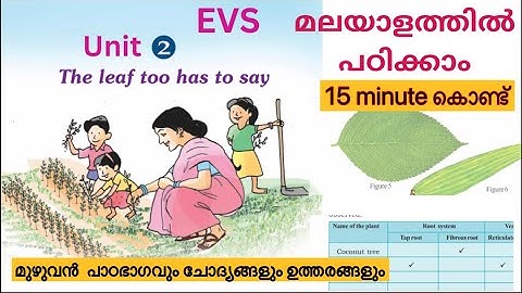 CLASS 4 | EVS | CHAPTER 2 |THE LEAF TOO HAS TO SAY | മുഴുവൻ  പാഠഭാഗവും ചോദ്യങ്ങളും ഉത്തരങ്ങളും|