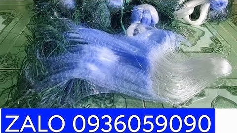 Bán lưới cá chạch. Lưới cá chạch cơm. Lưới cá chạch lấu.