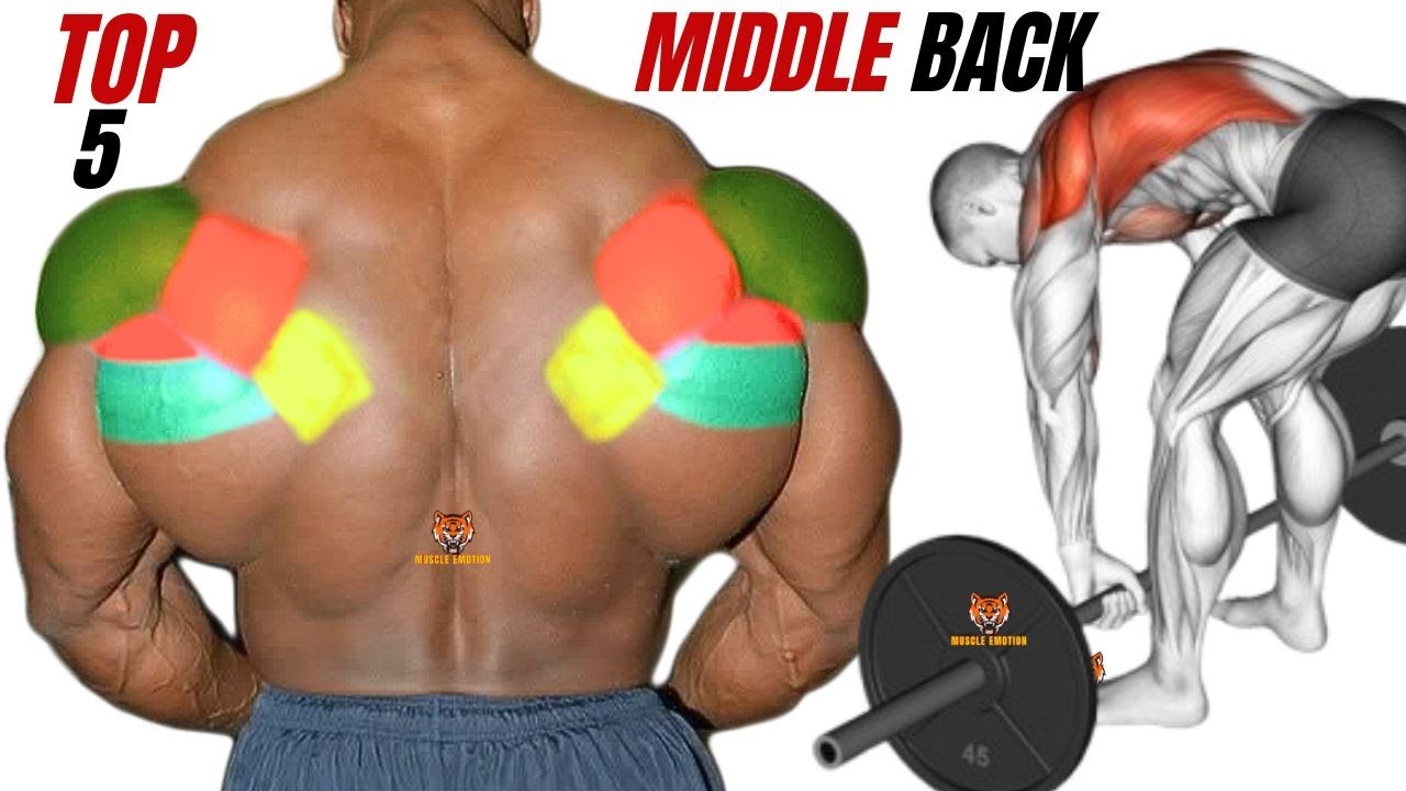 TOP 5 MIDDLE BACK WORKOUT WITH DUMBBELLS BARBELL AND CABLE ONLY AT GYM ...