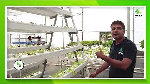 Rise Hydroponics |Fan & Pad Polyhouse Structure With A - Frame NFT | R&D Farm | Part 04
