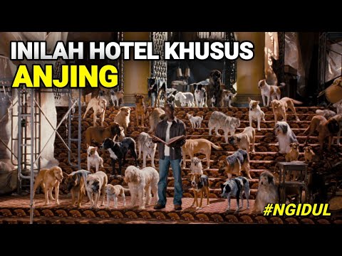 MISI PENYELAMATAN ANJING-ANJING LIAR | #NGIDUL FILM HOTEL FOR DOGS (2009)