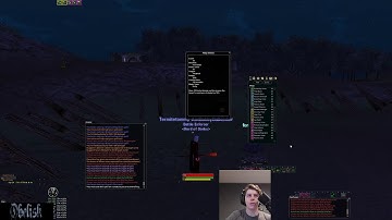 Animist Class Overview