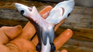 10 Most Bizarre Things Found In Nature
