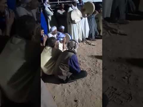  أكتوبر 