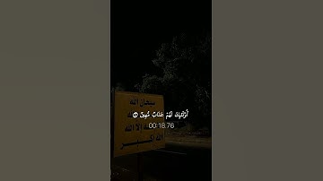 تلاوة هادئة تأخذك إلى عالم من الهدوء والسكينة بصوت الشيخ ماهر المعيقلي ♡ #ماهر_المعيقلي​ #قرآن 
