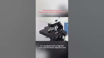 MSHOT Research  Grade Fluorescence  Microscope  MF43-N