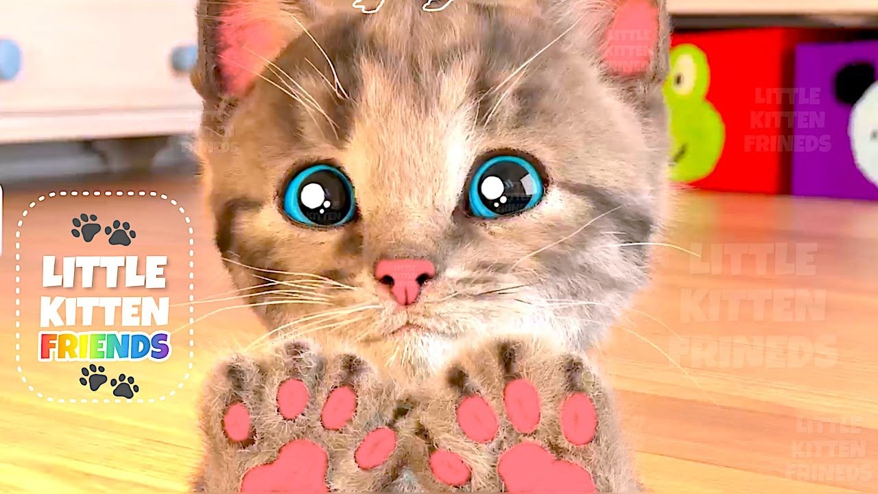 Funny Cat Little Kitten Adventure - Play Fun Pet Care Best Learning cartoons Videos for babies 