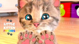 Funny Cat Little Kitten Adventure - Play Fun Pet Care Best Learning cartoons Videos for babies #1360 screenshot 2