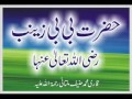 Maulana Qari Haneef Multani - Hazrat Bibi Zainab (Radhiyallahu Anha)