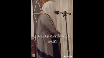 الشيخ الوليد الشمسان تلاوة هادئة