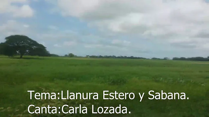 Llanura,estero y sabana